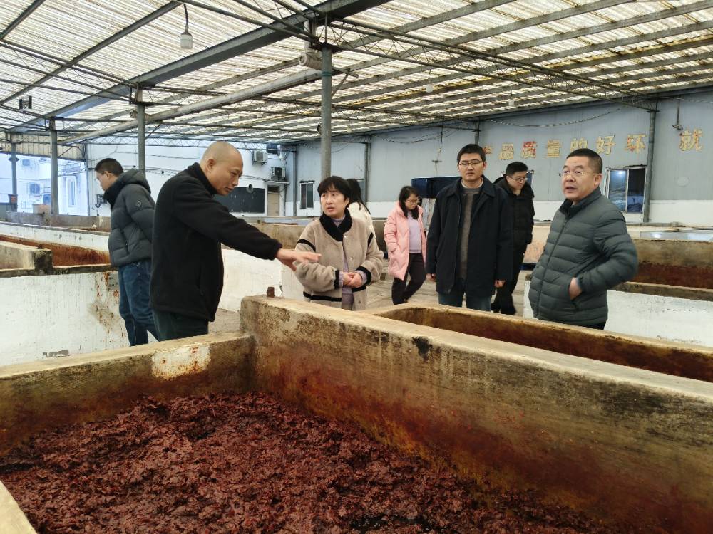 区规资局二级调研员林敏调研惠民街道豆瓣厂土地入市项目